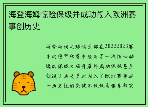 海登海姆惊险保级并成功闯入欧洲赛事创历史