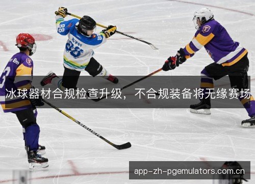 冰球器材合规检查升级,不合规装备将无缘赛场 冰球器材合规检查升级,不合规装备将无缘赛场
