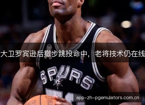 大卫罗宾逊后撤步跳投命中，老将技术仍在线