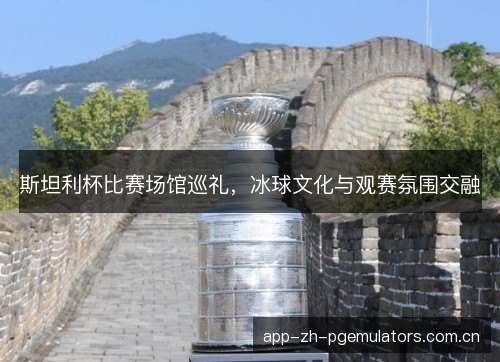 斯坦利杯比赛场馆巡礼，冰球文化与观赛氛围交融